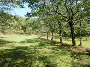 桜川公園